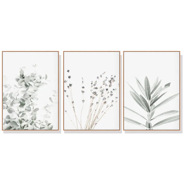 Fanno-Canvas Wall Art Set Lavender Eucalyptus 40x60cm Framed Home Decor Australia