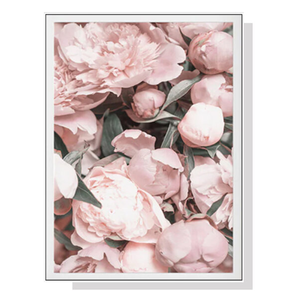 Fanno-Canvas Wall Art Peony Print Framed 50x70cm Premium Quality Home Decor Australia