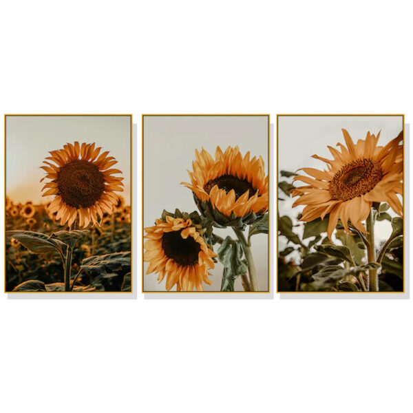 Fanno-Canvas Wall Art Set Sunflower 60x90cm Gold Frame Premium Print Home Decor