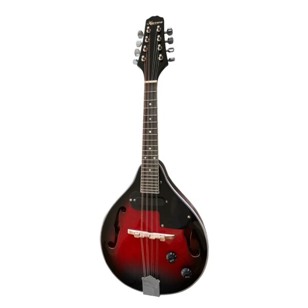 Fanno-Electric Mandolin with Gig Bag Cables and Strap High-Gloss Finish 8 Strings