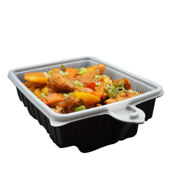 Fanno-Heating Lunch Box Container 5 Pack Portable Eco-Friendly Meal Warmer 33cm