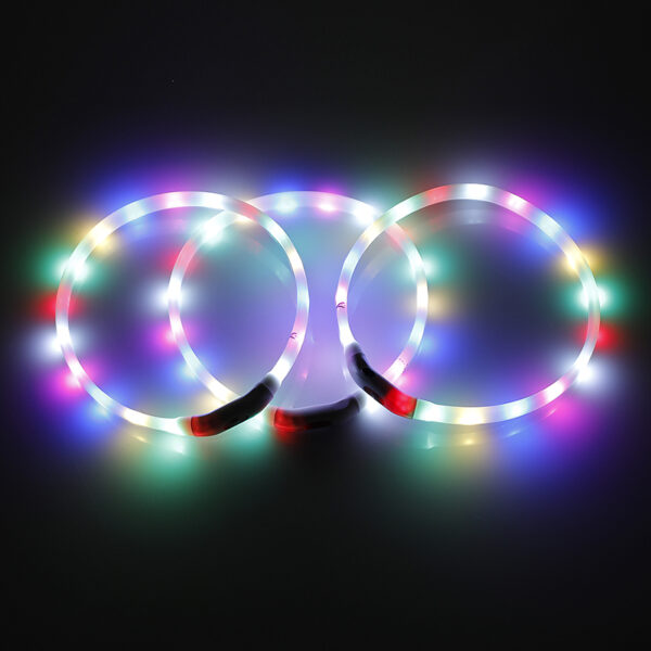 Fanno-Medium LED Dog Collar 55CM USB Rechargeable Night Glow Flashing Light Up Safety