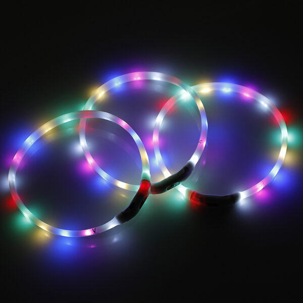 Fanno-2 X Rechargeable LED Dog Collar Small 40CM Night Glow Flashing Light Up Safety