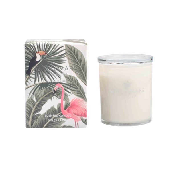 Fanno-Scented Candle Coconut Lime Natural Soy Blend Wax Eco-Friendly 400g 14.1oz