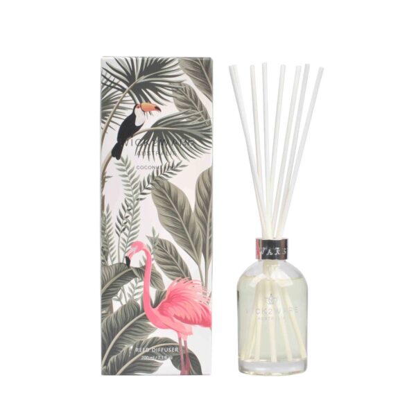 Fanno-Reed Diffuser Coconut Lime 200ml Natural Fragrance Home Decor Aromatherapy Scent