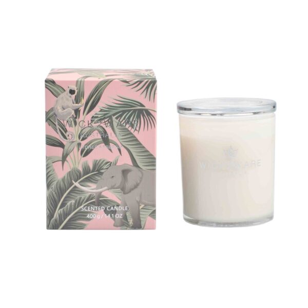 Fanno-Scented Candle Lychee and Freesia Natural Soy Blend 400g Eco-Friendly Container