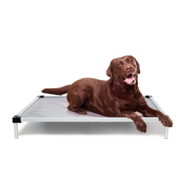 Fanno-Chew Proof Dog Bed