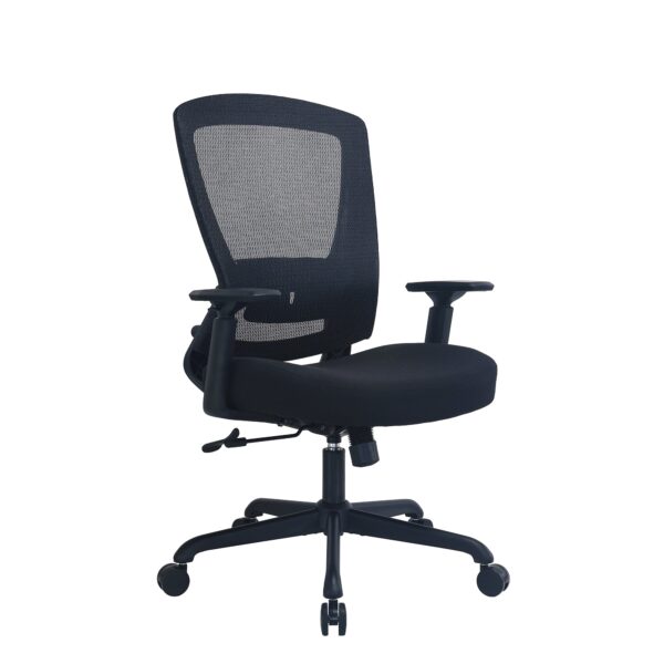 Fanno-Fabric Seat Task Chair with Adjustable Armrests and Mesh Back for Office Use