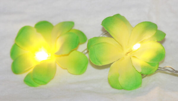 Fanno-20 LED Green Frangipani Flower String Lights for Home Wedding Party Decoration