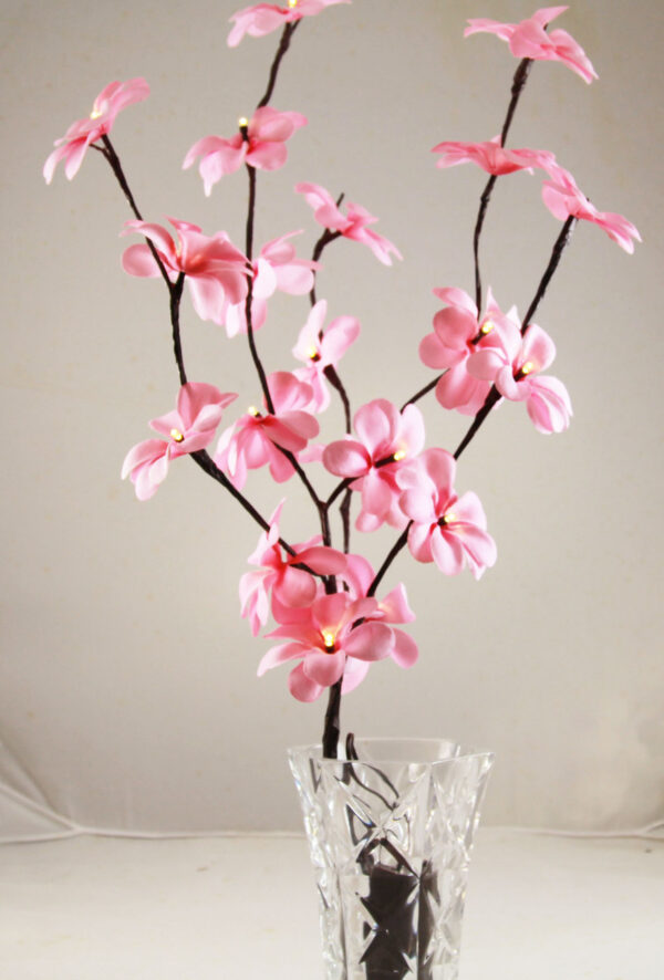 Fanno-50cm Pink Frangipani Fairy Lights 20 LED Battery Operated Table Decoration