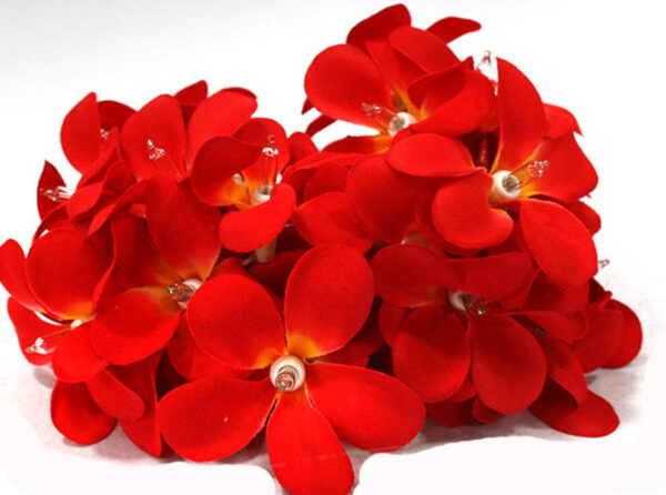 Fanno-20 LED Deep Red Frangipani Flower String Lights for Home Wedding Party Decoration