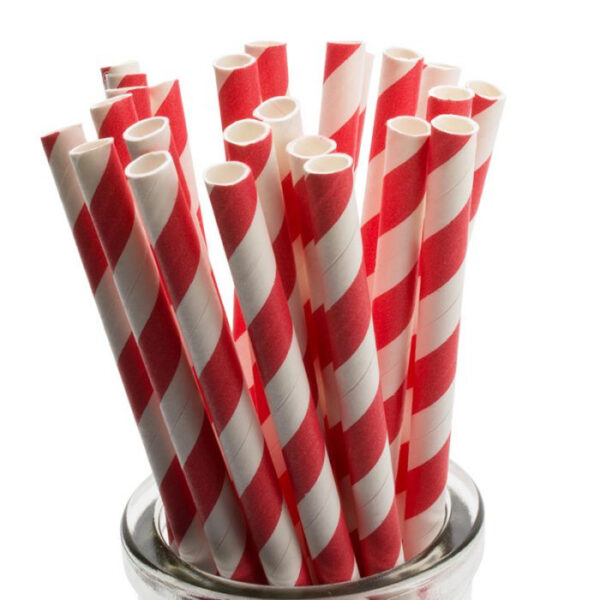 Fanno-Bulk Pack of 1000 Red and White Stripes Biodegradable Paper Drinking Straws