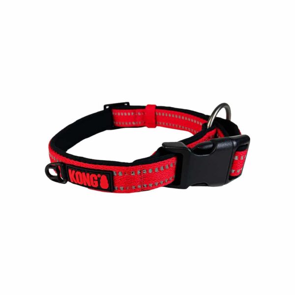 Fanno-Adjustable Nylon Dog Collar with Reflective Stitching for Large Dogs