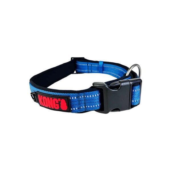 Fanno-Adjustable Nylon Dog Collar with Reflective Stitching and Neoprene Padding