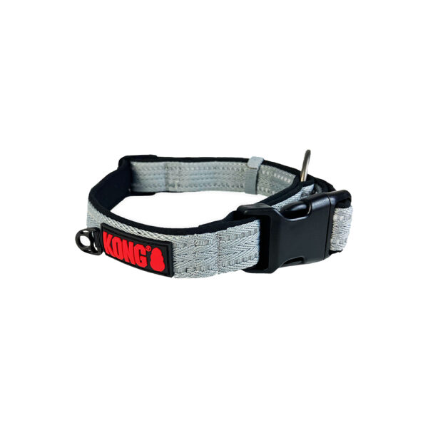 Fanno-Adjustable Nylon Dog Collar with Reflective Stitching and Neoprene Padding Medium