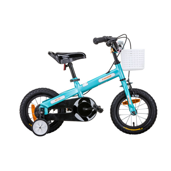 Fanno-Kids Bike 12 Inch Blue Hi Ten Steel Frame with Alloy Wheels and Steel Components