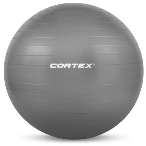 Fanno-Fitness Ball 55cm Anti-Burst Exercise Ball for Core Strength and Balance