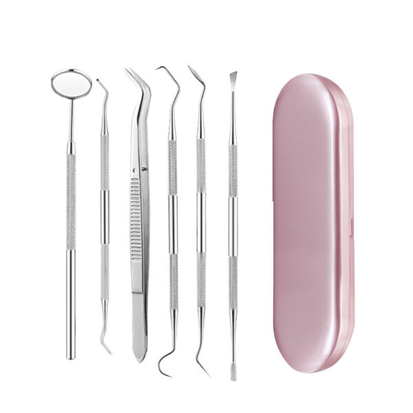 Fanno-Dental Hygiene Tools Set 6pcs Stainless Steel Oral Care Kit with Storage Case