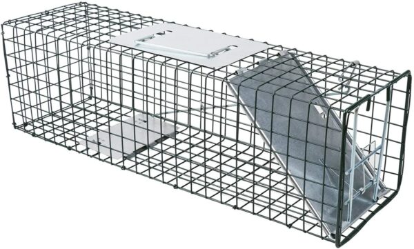 Fanno-Humane Live Animal Trap Cage for Possum Fox Rat Cat Rabbit Bird Safe Relocation