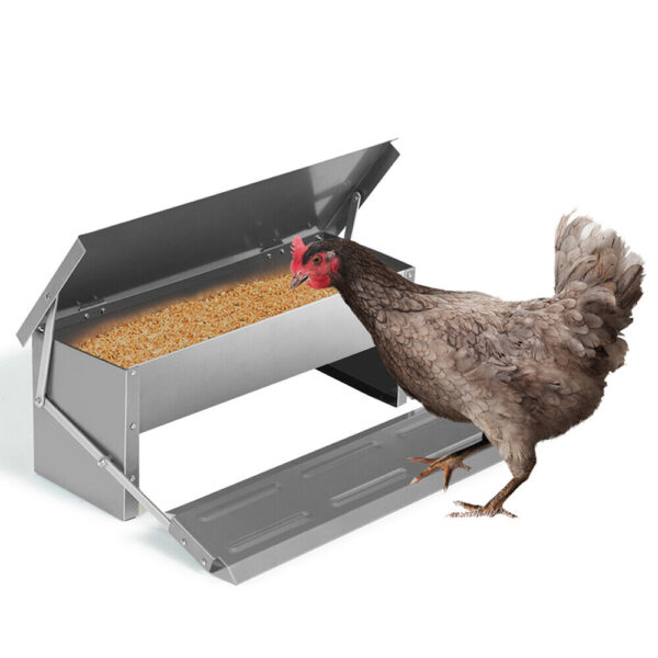 Fanno-Automatic Chicken Feeder with Weight Operated Lid for Backyard Poultry Feeding