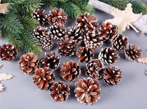 Fanno-Natural Pine Cones for Christmas Decorations Craft Projects 18 Pack Snowflake Design