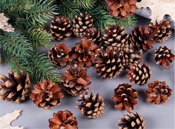 Fanno-Natural Pine Cones for Christmas Decorations and Craft Projects 18 Pack