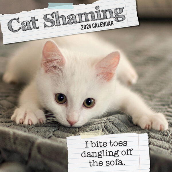 Fanno-Cat Shaming 2024 Square Wall Calendar with Hilarious Feline Misdeeds and Images