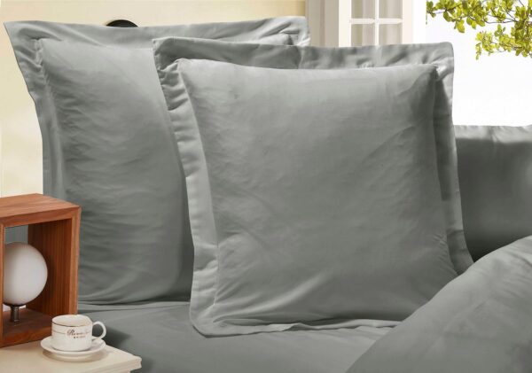 Fanno-European Pillowcase Set 2-Pack Ultra Soft Microfiber 1000TC Grey for Bedding