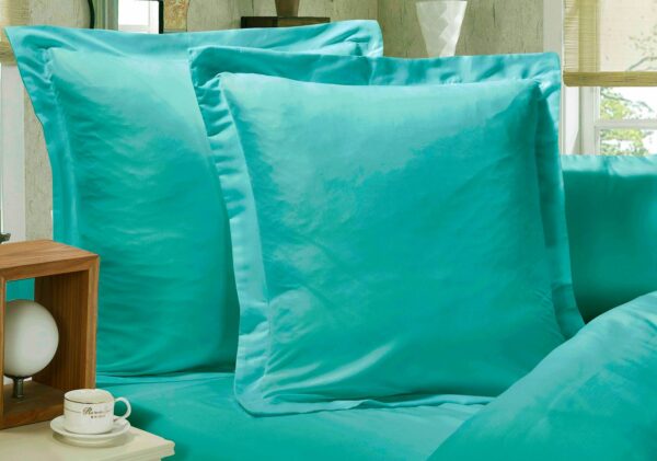 Fanno-European Pillowcase Set 2-Pack Ultra Soft Microfiber 1000TC Teal Color