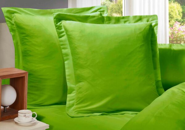 Fanno-European Pillowcases 2-Pack Ultra Soft Microfiber 1000TC Green for Bedding