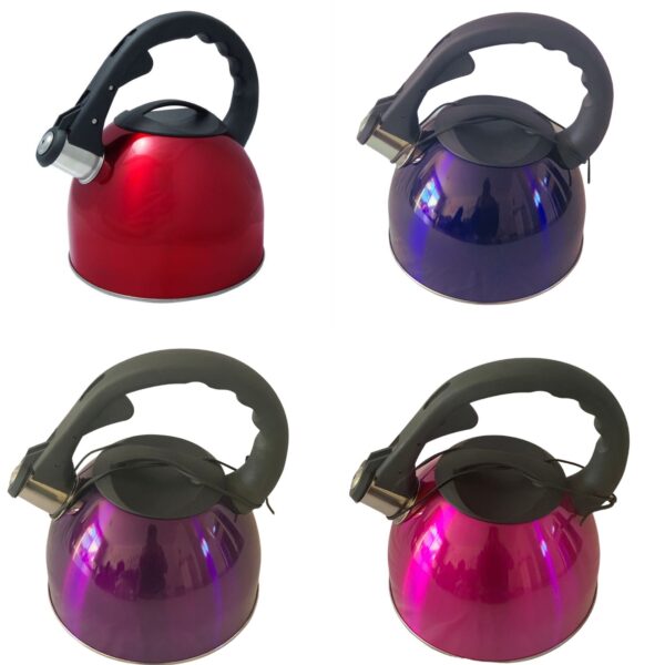 Fanno-2.6L Stainless Steel Whistling Kettle with Ergonomic Handle and Color Options