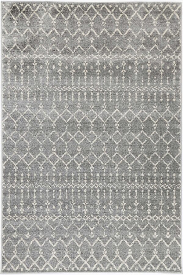 Fanno-Transitional Delicate Grey Ivory Area Rug 160x230 Modern Vintage Design Easy Care