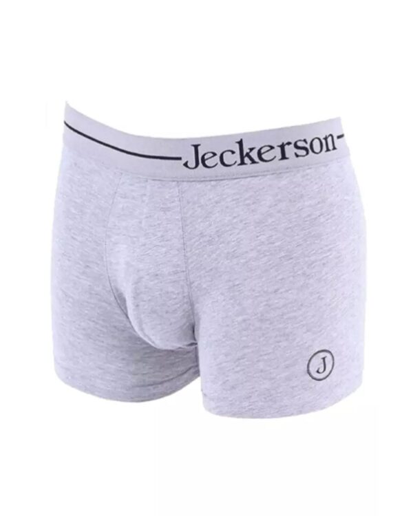 Fanno-Gray Cotton Monochrome Boxer Underwear for Men with Logo Print and Elastic Band