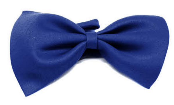 Fanno-Mens Bow Tie Pre-Tied Adjustable Clip Formal Wedding Tuxedo Party Classic Blue