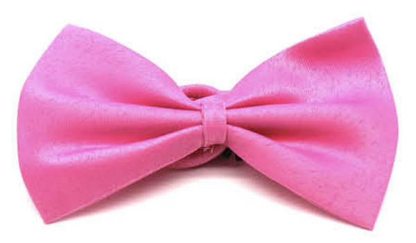 Fanno-Mens Bow Tie Pre-Tied Adjustable Clip Formal Wedding Tuxedo Party Classic Pink