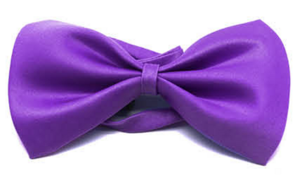 Fanno-Mens Bow Tie Pre-Tied Adjustable Clip Formal Wedding Tuxedo Party Classic Purple