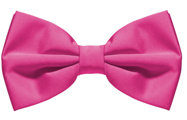 Fanno-Mens Bow Tie Hot Pink Wedding Tuxedo Formal Bestman Classic Necktie Party Accessory