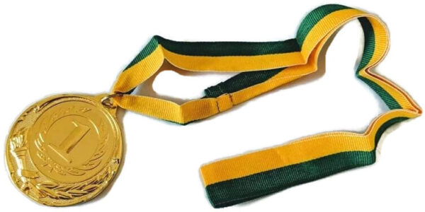 Fanno-Metal Gold Medal Party Favor Sports Day Achievement Award with 40cm Ribbon