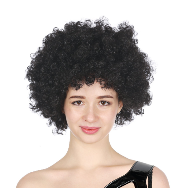 Fanno-Deluxe Afro Wig Curly Hair Costume Party Fancy Dress Up for 70s 80s Clown Fun