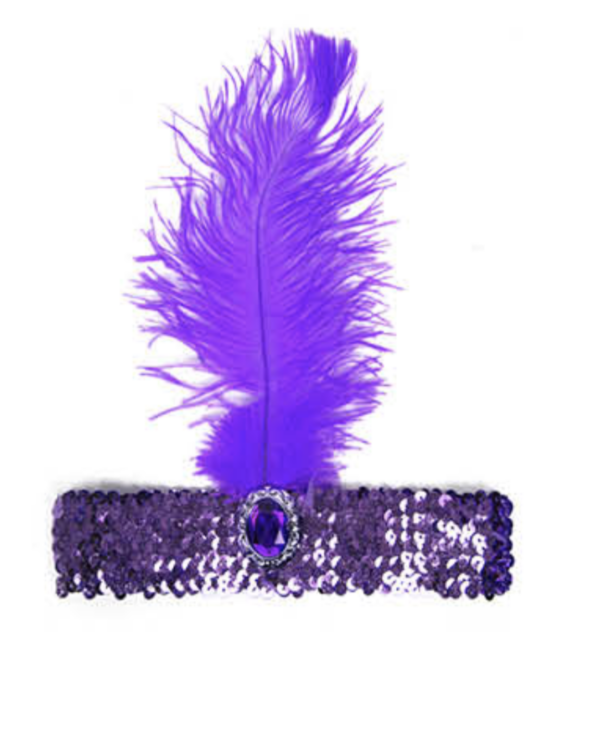 Fanno-Flapper Headband Feather Sequin Costume Headpiece for 1920s Gatsby Theme Party