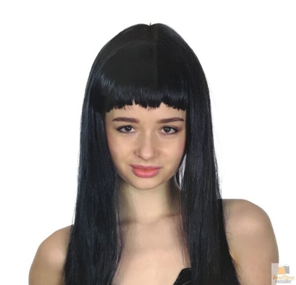 Fanno-Long Straight Wig for Party Costume Cosplay Fancy Dress 70cm Adjustable Cap Black