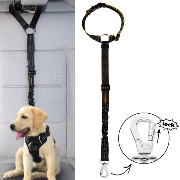 Fanno-Dog Seat Belt for Cars with Headrest Restraint and Locking Carabiner Safety