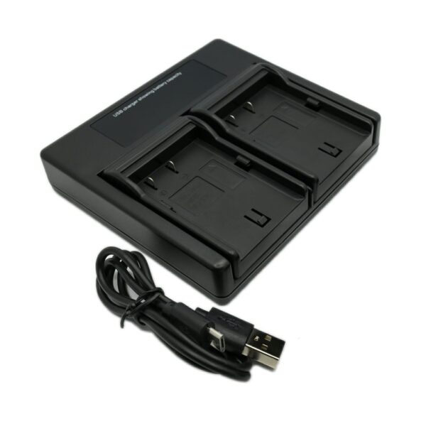 Fanno-Dual Charger for  DMW-BLF19 Battery Compatible with GH3 GH4 Cameras