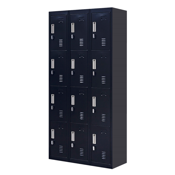 Fanno-12-Door Locker Storage Unit for Office Gym School with Padlock Security System