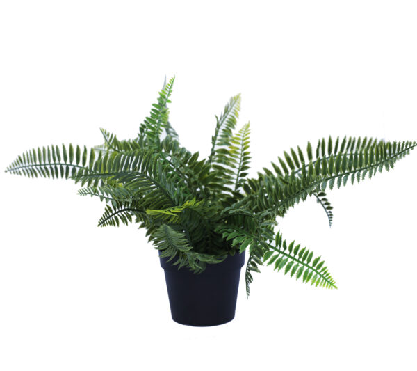 Fanno-Small Potted Artificial Dark Green Fern Plant UV Resistant Indoor Outdoor 20cm