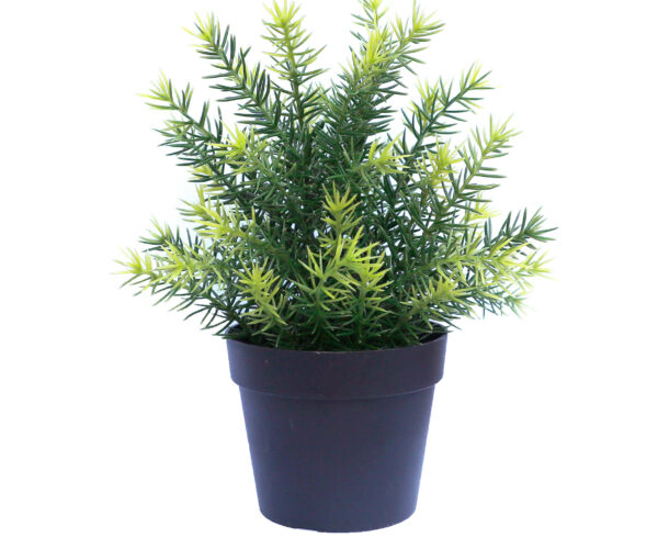 Fanno-Small Potted Artificial Native Grass Plant UV Resistant Indoor Outdoor Decor 20cm