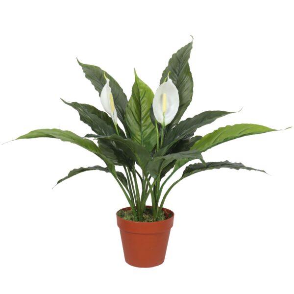 Fanno-Artificial Spathiphyllum Peace Lily Plant 60cm Realistic White Flowers Indoor Decor