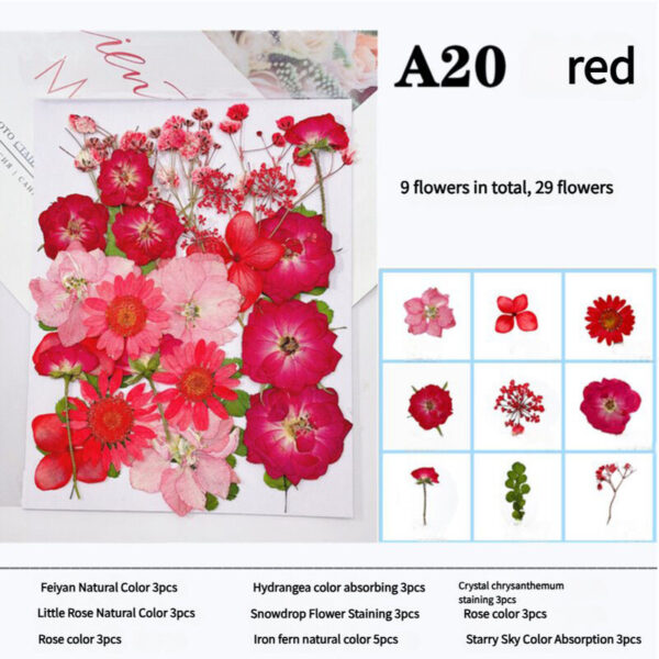 Fanno-Pressed Dried Flower Craft Kit - Mixed Color Floral Collection for DIY Projects(A20 Red)