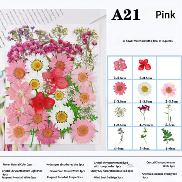 Fanno-Pressed Dried Flower Craft Kit - Mixed Color Floral Collection for DIY Projects(A21 Pink)