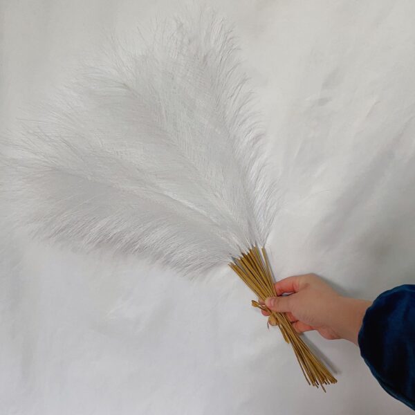 Fanno-20 sticks Natural White Pampas Grass Bouquet - 21.65'' Fluffy Dried Pampas for Home Decor and Events